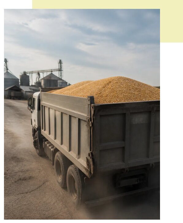 Перевозка сельхозпродукции навалом в Югорск по цене от 3063 р. | Агросервис-Югр